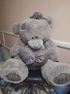Kotta teddiy sotuvdaaa