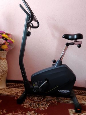 Velodasiped trenirovichniy