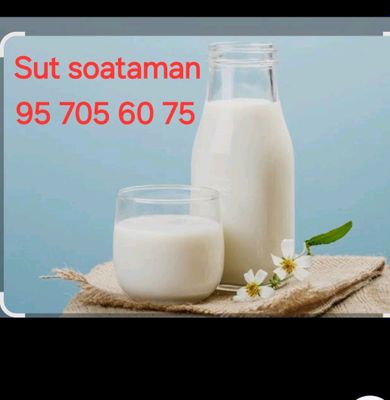 sut sotiladi