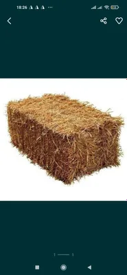 Samon somon press.Beda pres