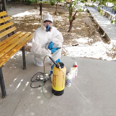 Bolalar va uy hayvonlari uchun xavfsiz dezinfeksiya klop va tarakans
