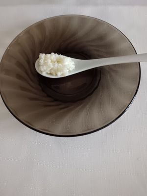 Молочный гриб