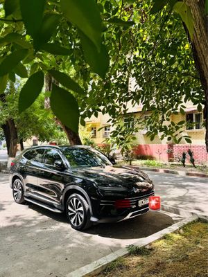 Byd chempiyon 2024