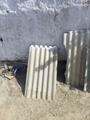 Shifir sotiladi narxini kelishamz