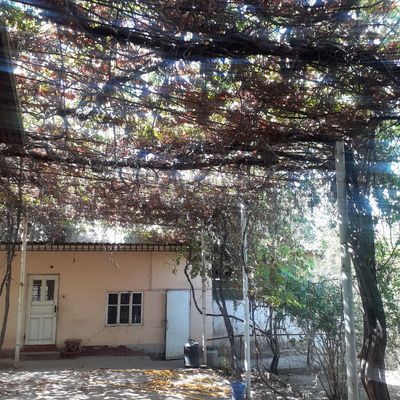 Sariosiyo t bo'yrapo'sht m 250 uy barcha sharoitlarga ega honadon