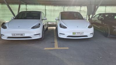 Tesla model y standart amerika