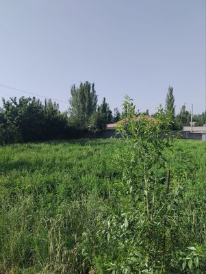 Xujjatlari joyida