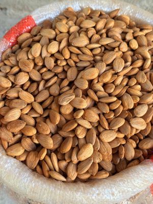 Абрикосовые косточки косточки урюка danak donak o'rik magzi