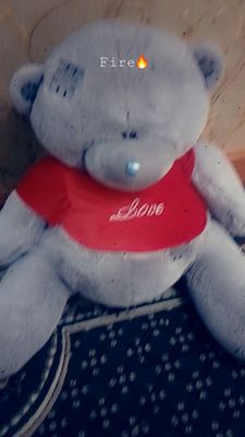 Teddiy ayiqcha