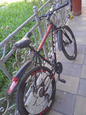 Yangi velik srochno sotiladi