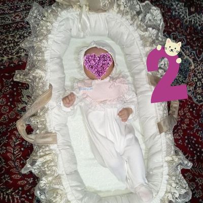 Karzinka pledi bilan