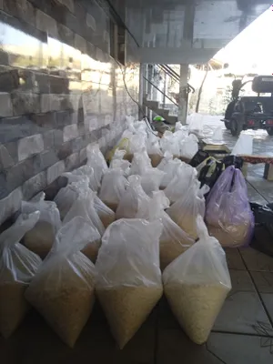 guruch 1qopi 1100000