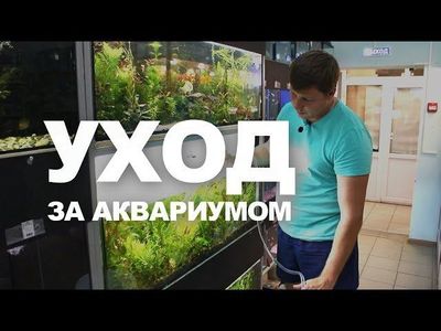 Обслуживание аквариумов быстро недорого