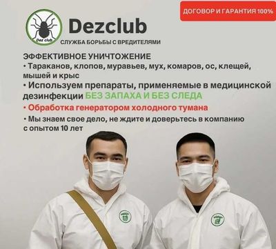 Dezinfeksiya klop klapa Дезинфекция от клопов клапа мышей таракан клоп