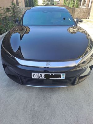 Byd han 2024 yil restaling 605 zapas hod full