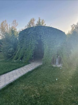 Сдается семейна дача в Самарканде
