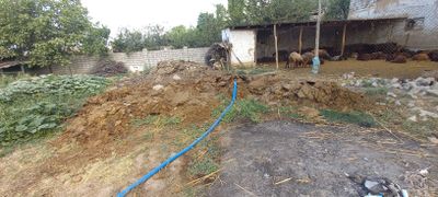 Gõng bor mutlaqo tekinga