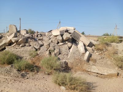 Beton bulaklari va tuproq