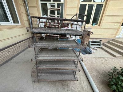 Bedana in qafas sotiladi (tayyor biznes)