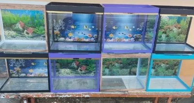 Идишлар бор Андижон