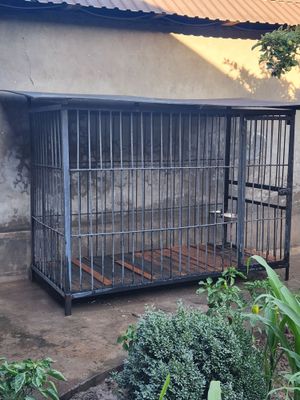Валер для сабак 300$
