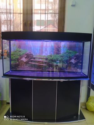 Akvarium 200 litrlik Avalniy