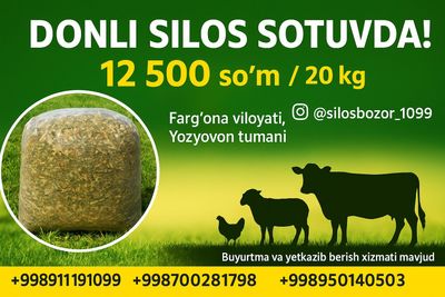 Silos sotiladi arzonidan
