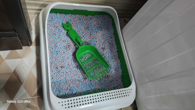 Продам кошку за 100 ка сумов вы сами заберёте