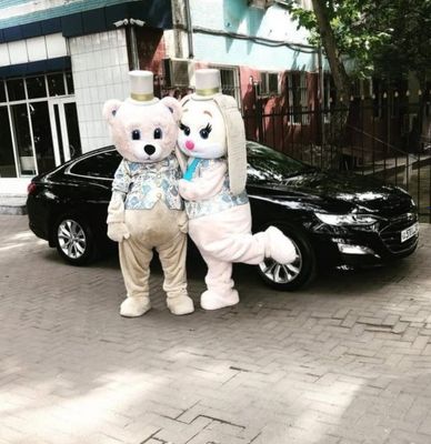 Ayiq sotiladi Ayiqlar sotiladi