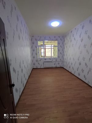 Tinchlik domlari