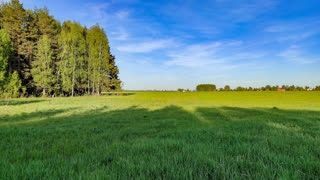 Ховли сотилади 44сотих
