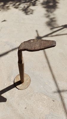Лапа сапожная в Чирчике