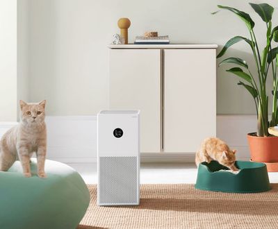 Новый! Xiaomi Air Purifier 4 Lite Бесплатная доставка!