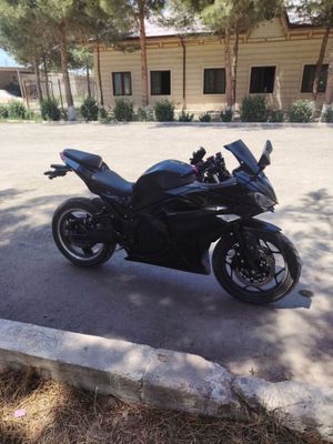 Elektro moto R32024