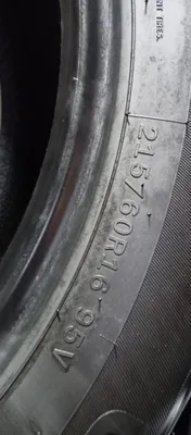 Bars 16R trekker radnoy baloni