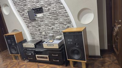 Акция до 31.08. Tandberg studio monitor(Norway)