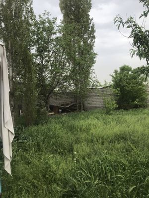 Yer sotlad 1.3sotx sotxgini narnrxi 16000y.e dan 1sotigam sotamz