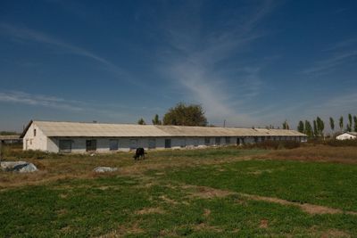 Продается ферма на территории 2,74 га. Гулистан, Улугобод