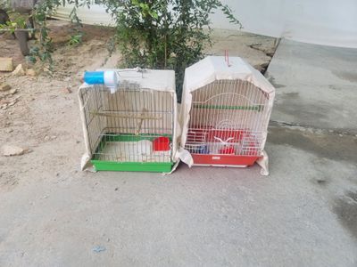 Клетка для птиц штуками