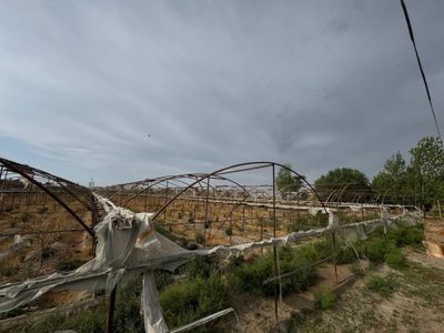 Срочно продается парник конструкция