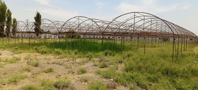 Парник тайор сотилади 22сотикники