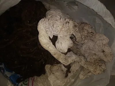 Пакля с пропиткой и шнур асбестовый