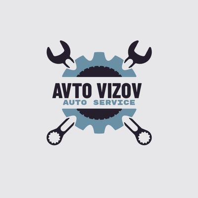 Avto elektrik vizof