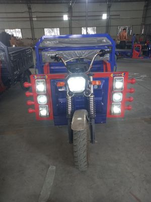 Муравей 1тоналик