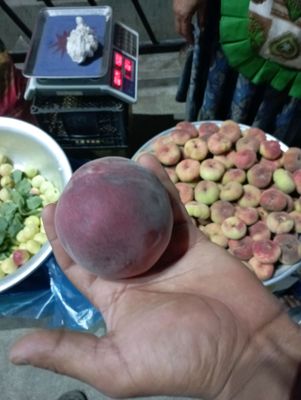 🍑 shaftoli bor 10.000 kilosi