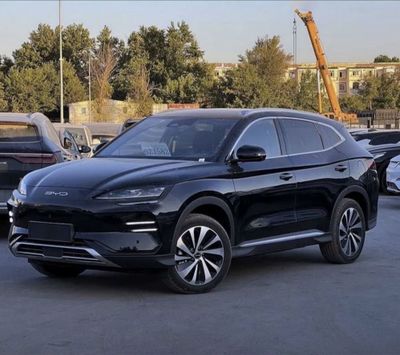 Byd Champion Smart
