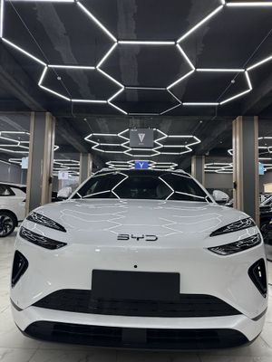 Byd sea lion 06 1 yil garantiya nasiyaga xam cqadi