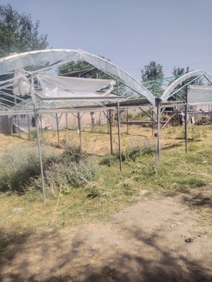 Парник сотилади 3 сотик