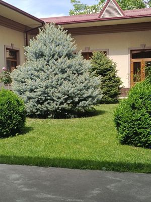 6- сотих Юнусобод рн Анорзор махаллада ховли Сотилади