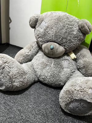 Teddy ayiq-600.000 Yonida kichkinaayiq qòshiladi